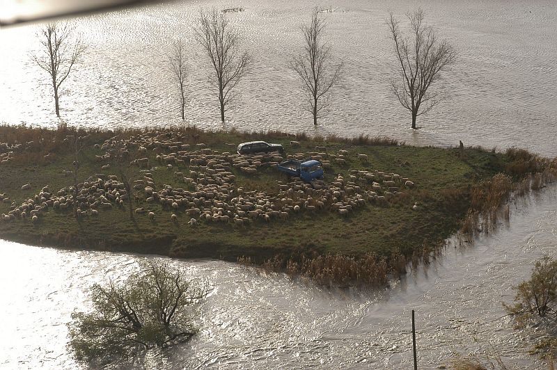 Inondation dec 2003 sur le BV Rhône Camargue vulnérabilité agricole (© CD30)