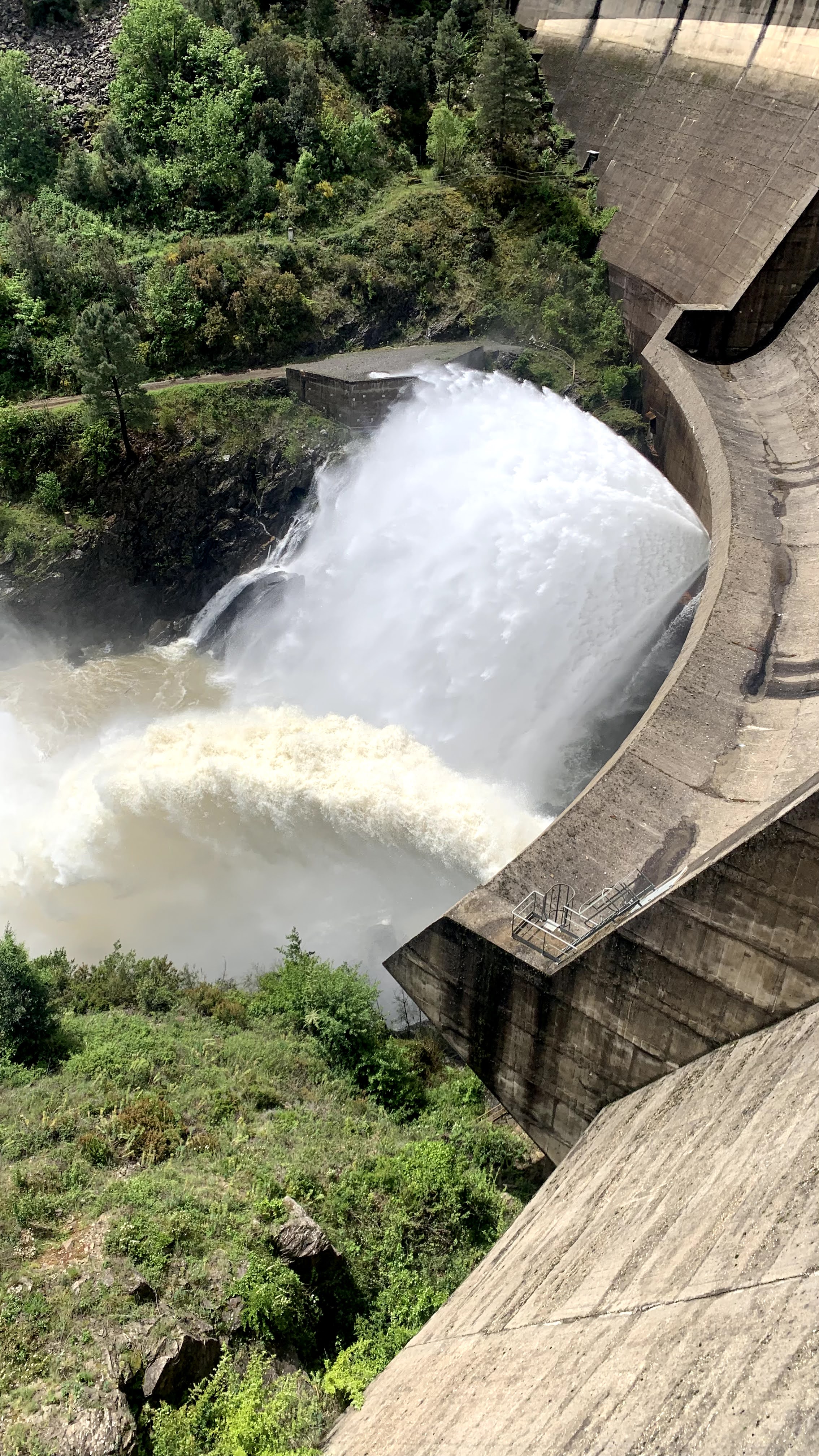 Sénéchas ©P.BLAIS