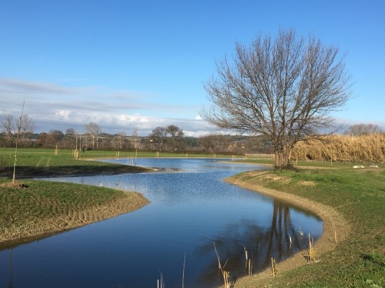 Restauration de zone humide des Paluns à Aramon (© EPTB Gardons)